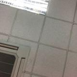 (Category: ) located in . Submitted by taru0811 (Listing ID 1373724390, Image 1). Description: .