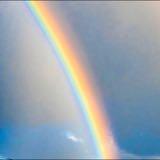 (Category: ) located in . Submitted by rainarainbow (Listing ID 1312487167, Image 1). Description: .
