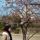 (Kategori: ) berada di . Dikirim oleh nana.mamaaa (ID iklan 1383909291, Gambar 1). Deskripsi: .