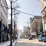 由 .lyn. (刊登 ID 1370865513，圖片 1) 提交，位於 的 (類別：)，說明：。