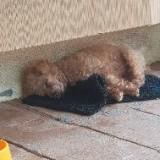 (Category: ) located in . Submitted by captmax (Listing ID 1380000975, Image 1). Description: .