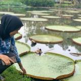 (Kategori: ) berada di . Dikirim oleh prelovedajasih (ID iklan 1343588597, Gambar 1). Deskripsi: .