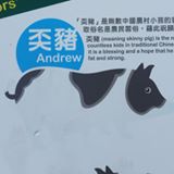 （分類：）位於 。 由 siumakor 提交（商品編號 1138845360，圖片 1）。簡介： 。