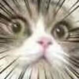 (Category: ) located in . Submitted by narclim (Listing ID 1368447256, Image 1). Description: .
