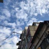 （分類：）位於 。 由 hcmpcy 提交（商品編號 1329435100，圖片 1）。簡介： 。