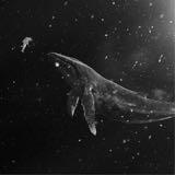 (Category: ) located in . Submitted by sleepyy.whale (Listing ID 1193335222, Image 1). Description: .