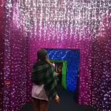 (Category: ) located in . Submitted by misstissuepaper (Listing ID 1377687794, Image 1). Description: .