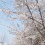 （分類：）位於 。 由 eli9290 提交（商品編號 1374708872，圖片 1）。簡介： 。