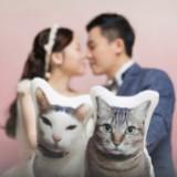 （分類：）位於 。 由 kiwilo 提交（商品編號 1269378854，圖片 1）。簡介： 。