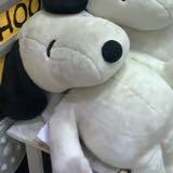 (Category: ) located in . Submitted by bcjmsg (Listing ID 1382497108, Image 1). Description: .