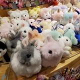 （分類：）位於 。 由 emmdc 提交（商品編號 1377934556，圖片 1）。簡介： 。