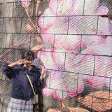 由 lomaycha (刊登 ID 1381967850，圖片 1) 提交，位於 的 (類別：)，說明：。