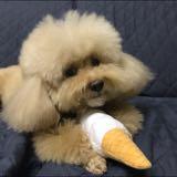 (分類:)位於 。 由 KO_MW 提交(商品編號 1430990254,圖片 1)。簡介: 。