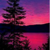(Category: ) located in . Submitted by checkme_ (Listing ID 1442307129, Image 1). Description: .