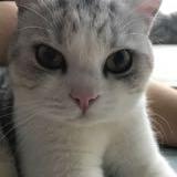 （分類：）位於 。 由 npndli 提交（商品編號 1366513820，圖片 1）。簡介： 。