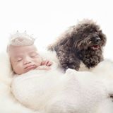 （分類：）位於 。 由 kwankristy 提交（商品編號 1262440758，圖片 1）。簡介： 。