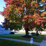 (Category: ) located in . Submitted by bob1096 (Listing ID 1263317967, Image 1). Description: .