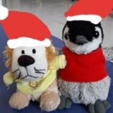 (Category: ) located in . Submitted by moomoopipi (Listing ID 1384065523, Image 1). Description: .