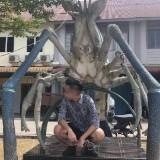 (Category: ) located in . Submitted by raymond_sing (Listing ID 1453222723, Image 1). Description: .