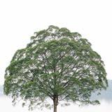 (Category: ) located in . Submitted by boon333 (Listing ID 1290938963, Image 1). Description: .