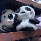 (Category: ) located in . Submitted by pandaslides24 (Listing ID 1366560263, Image 1). Description: .