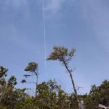 （分類：）位於 。 由 akakakakakaka 提交（商品編號 1301537625，圖片 1）。簡介： 。