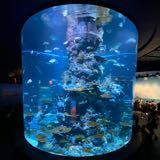 (Category: ) located in . Submitted by louis.chg (Listing ID 1379144388, Image 1). Description: .