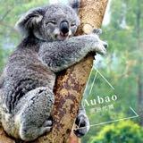 （分類：）位於 。 由 ausbao_daiguo 提交（商品編號 278798336，圖片 1）。簡介： 。