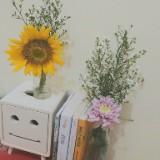 (Kategori: ) berada di . Dikirim oleh ayulandari.aw (ID iklan 1264269574, Gambar 1). Deskripsi: .