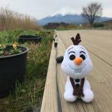 (分類:)位於 。 由 olafy 提交(商品編號 1358225598,圖片 1)。簡介: 。