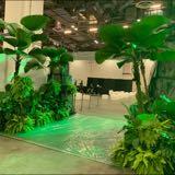 (Category: ) located in . Submitted by eventnlandscape (Listing ID 114393951, Image 1). Description: .