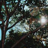 (Category: ) located in . Submitted by ahmyvi (Listing ID 1375553970, Image 1). Description: .