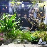(Category: ) located in . Submitted by fishstiksss (Listing ID 1383387762, Image 1). Description: .