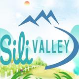 (Category: ) located in . Submitted by sili_valley (Listing ID 273376196, Image 1). Description: .