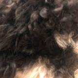 (Category: ) located in . Submitted by happyness88 (Listing ID 1359154201, Image 1). Description: .