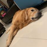 (Category: ) located in . Submitted by studysmarter101 (Listing ID 1384478423, Image 1). Description: .