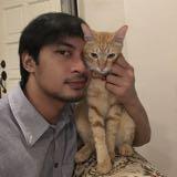 (Category: ) located in . Submitted by zzzulhaiman (Listing ID 1353339292, Image 1). Description: .