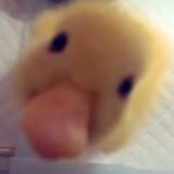 (Category: ) located in . Submitted by flippafloopa (Listing ID 1380018850, Image 1). Description: .