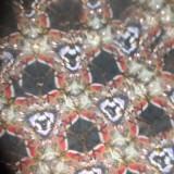 (Category: ) located in . Submitted by drickdrick (Listing ID 1362274208, Image 1). Description: .
