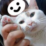 由 gill603 (刊登 ID 1382532887，圖片 1) 提交，位於 的 (類別：)，說明：。