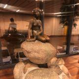 （分類：）位於 。 由 lidol 提交（商品編號 1355574634，圖片 1）。簡介： 。