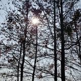 （分類：）位於 。 由 Venustarlin 提交（商品編號 1384503798，圖片 1）。簡介： 。