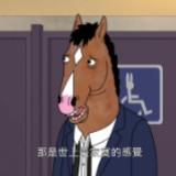 由 poelq (刊登 ID 1383174623，圖片 1) 提交，位於 的 (類別：)，說明：。