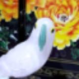 (Category: ) located in . Submitted by crystaljinjin88 (Listing ID 1375106837, Image 1). Description: .