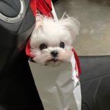 由 a314379176 (刊登 ID 1382800919，圖片 1) 提交，位於 的 (類別：)，說明：。