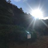 (Category: ) located in . Submitted by kxnie (Listing ID 1118277487, Image 1). Description: .