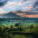 (Kategori: ) berada di . Dikirim oleh a.dziqri (ID iklan 1188116050, Gambar 1). Deskripsi: .