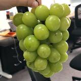 （分類：）位於 。 由 aa.aa.aa 提交（商品編號 1329198694，圖片 1）。簡介： 。