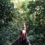 (Category: ) located in . Submitted by aaaasma (Listing ID 1424837784, Image 1). Description: .