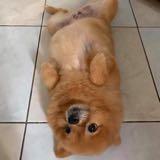 (Category: ) located in . Submitted by timss (Listing ID 1366610637, Image 1). Description: .